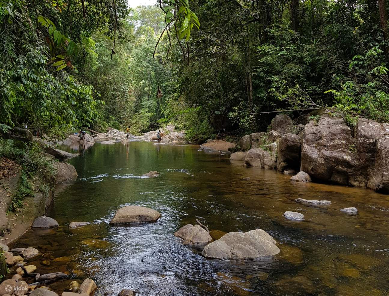 Sinharaja Forest Reserve